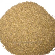 Люцерна семена (Medicago sativa, Alfalfa, Lucerne)