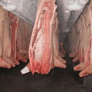 Мясо свинина полутуши охлажденное фото