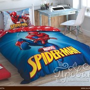Детское постельное белье TAC SPIDERMAN TIME TO MOVE хлопковый ранфорс 1,5 спальный фото