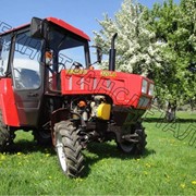 Трактор МТЗ Беларус-320.4 фото