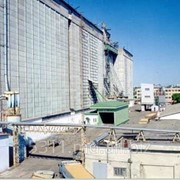 Элеваторный комплекс для хранения 60 тыс. тонн зерна в железобетонных силосах фото