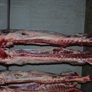 М'ясо яловичини на кості охолоджене 1 категорії; Мясо говядины на кости первой категории (1 категория) фото