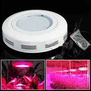 Фитопанель LED 150 ватт для комнатных растений и рассады фото