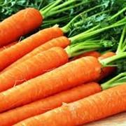 Морковь ( Нантский) фото