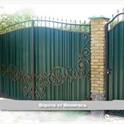 Ворота металлические кованые под заказ фотография