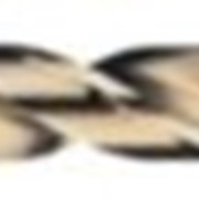 Сверло DeWALT DT5547-QZ фото