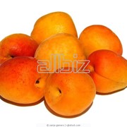 Паста абрикосовая фото