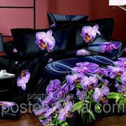 Комплект постельного белья HCY 0527, Zastelli микросатин фото