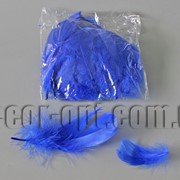 Перья синие 5-13 см 100 шт 3661 фотография