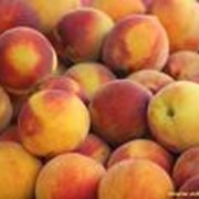 Персики фото