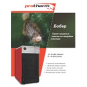 Protherm (Протерм) Бобер 40 DLO, 32 кВт, дымоход, электронезависимый фотография