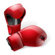 Боксерские перчатки фото