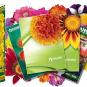 Упаковки для семян по доступным ценам под заказ фото