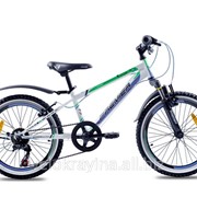 Детский горный велосипед Premier Dragon 20 11 2016 белый с сине-зеленым фотография