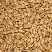 Пшеница четвертого класса. Экспорт из Казахстана фотография