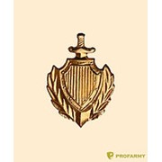 Эмблема петличная металлическая МВД золотая ФМ-253 фото