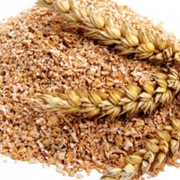 Отруби пшеничные. фото