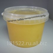 Мёд цветочно-липовый крем 650гр фотография