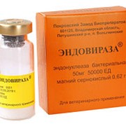 Эндовираза - препарат для профилактики и лечения вирусных болезней пчёл фото