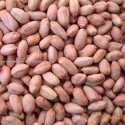 Арахис Болд 50/60, Индия фото