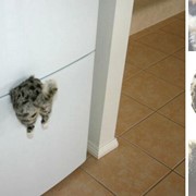 Магнит на холодильник - Застрявший кот