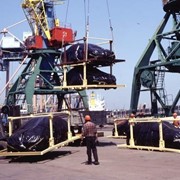 Экспедирование грузов на морском и железнодорожном транспорте