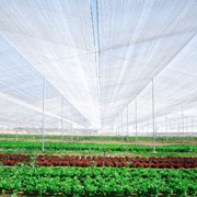 Nethouse- летняя теплица без обогрева. НЕТХАУС фото