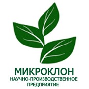 Растения полученные методом микроклонального размножения