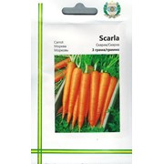 Морковь Скарла. (Carrot Scarle) в металлизированном пакете фотография