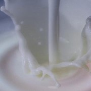 Концентрат молочно-сывороточный фото