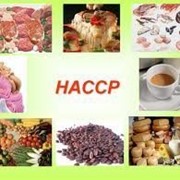 Учебный курс “РАЗРАБОТКА И ВНЕДРЕНИЕ HACCP“ фото