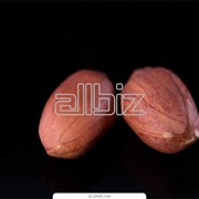 Арахис сырой бланшированный, арахис сырой фото