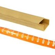 Кабель-канал 40х25 желтая сосна 3D (40м) TDM ELECTRIC SQ0402-0608 фото