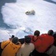 Круиз экспедиционный на Северный Полюс фотография