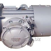 Взрывозащищенный электродвигатель АИУМ225 для привода скребковых и ленточных конвейеров фотография