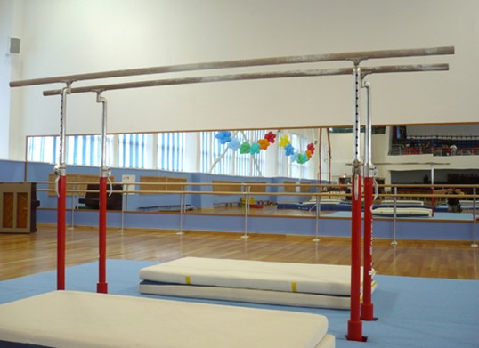 Брусья гимнастические d 418