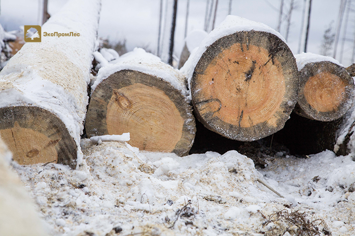 Купить Деловой Кругляк В Малуксе Для Бани