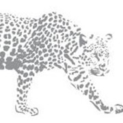 Наклейки виниловые интерьерные - Леопард