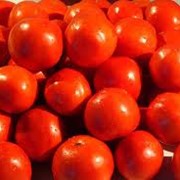 Тепличные огурцы, помидоры фото