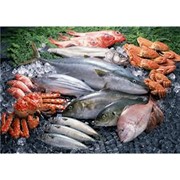 Рыба и морепродукты фотография