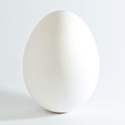 Яйцо фото