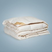 Одеяло ARYA Penelope Dauny с гусиным пером 200x220 см. 1250161 фотография