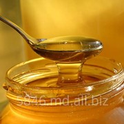 Пчелиный мед фото
