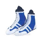 Обувь для бокса Арт. GSC-1070