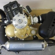 Двигатель для парамотора Polini Thor 200 Walbro Pull start фото