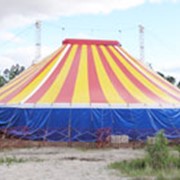 Покрытия цирков
