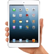 Apple iPad mini 16 Gb Wi-Fi+4G фото