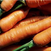 Морковь. фотография