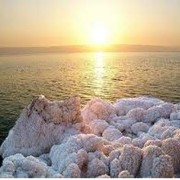 Мази лечебные - продукция Мертвого моря фотография