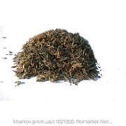Горец птичий (Polygonum aviculare, Спорыш) трава 100 грамм фото